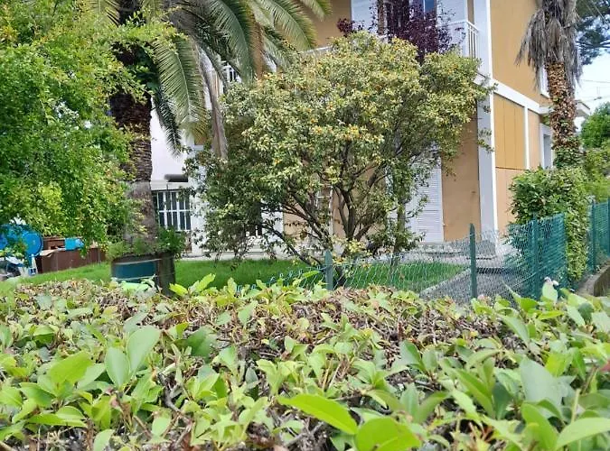 Villetta Le Palme
